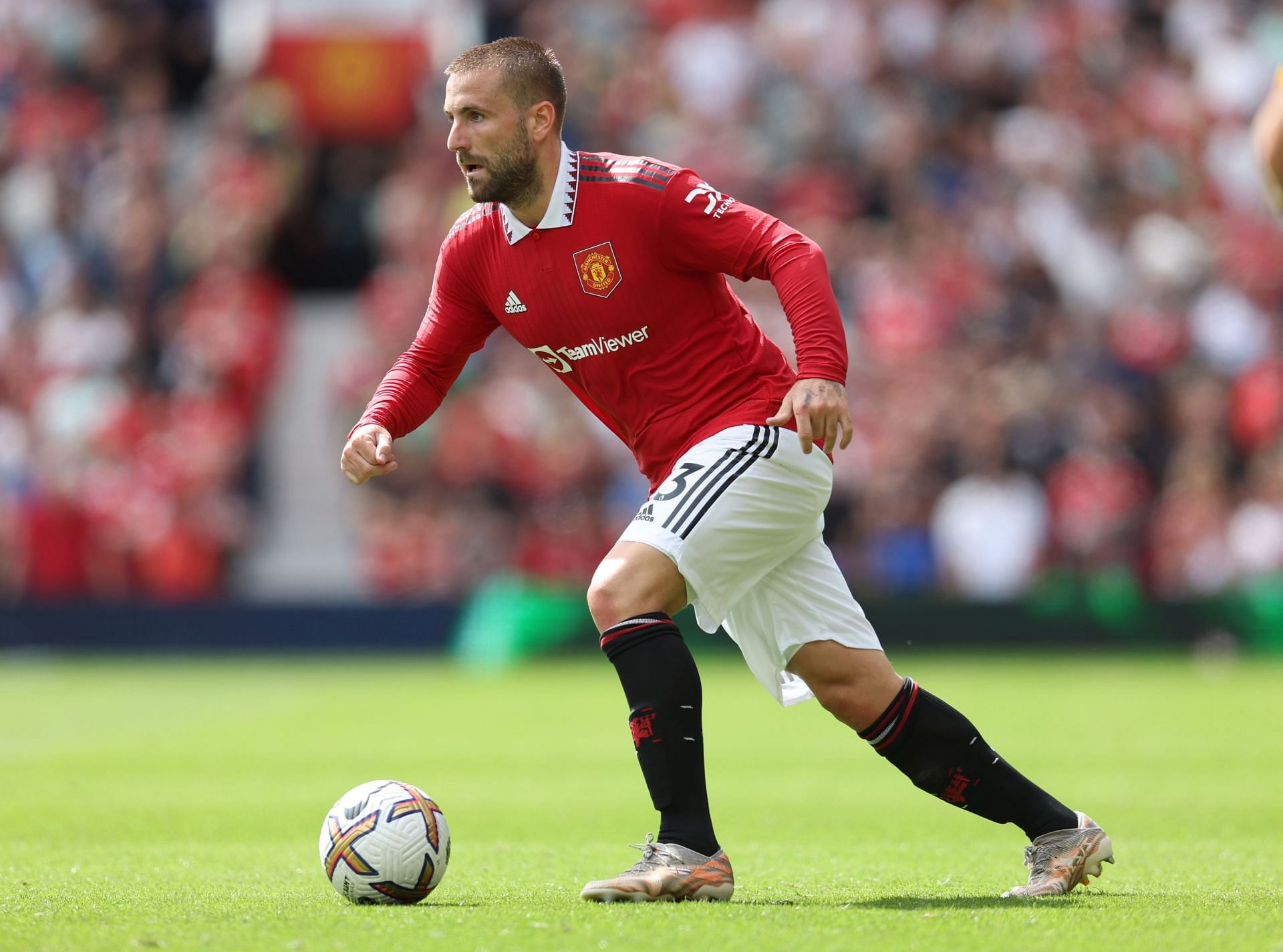 Manchester United v Brighton & Hove Albion - Premier League